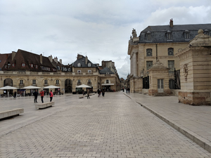 Déménageur Dijon